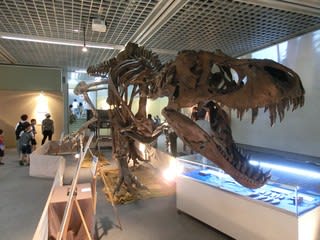 仙台市科学館 恐竜最前線 に行く 三住 みすみ ブログ
