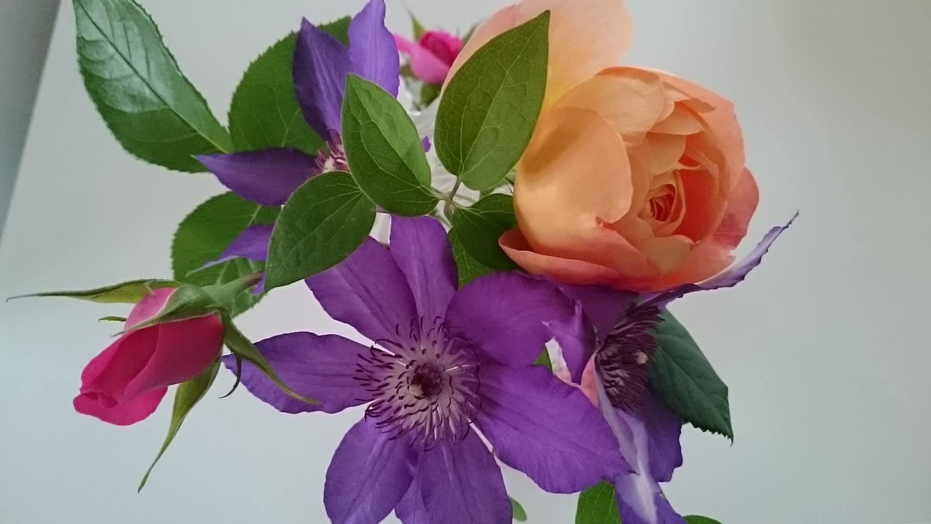 薔薇 のブログ記事一覧 La Vie En Rose