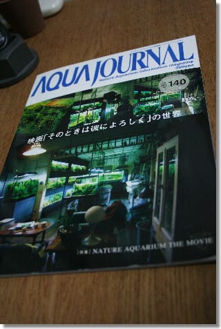 そのときは彼によろしく 長澤まさみ効果で総力戦に出たada T T Wilderness Lodge Aquarium そのときは彼によろしく 長澤まさみ効果で総力戦に出たada T T Wilderness Lodge Aquarium