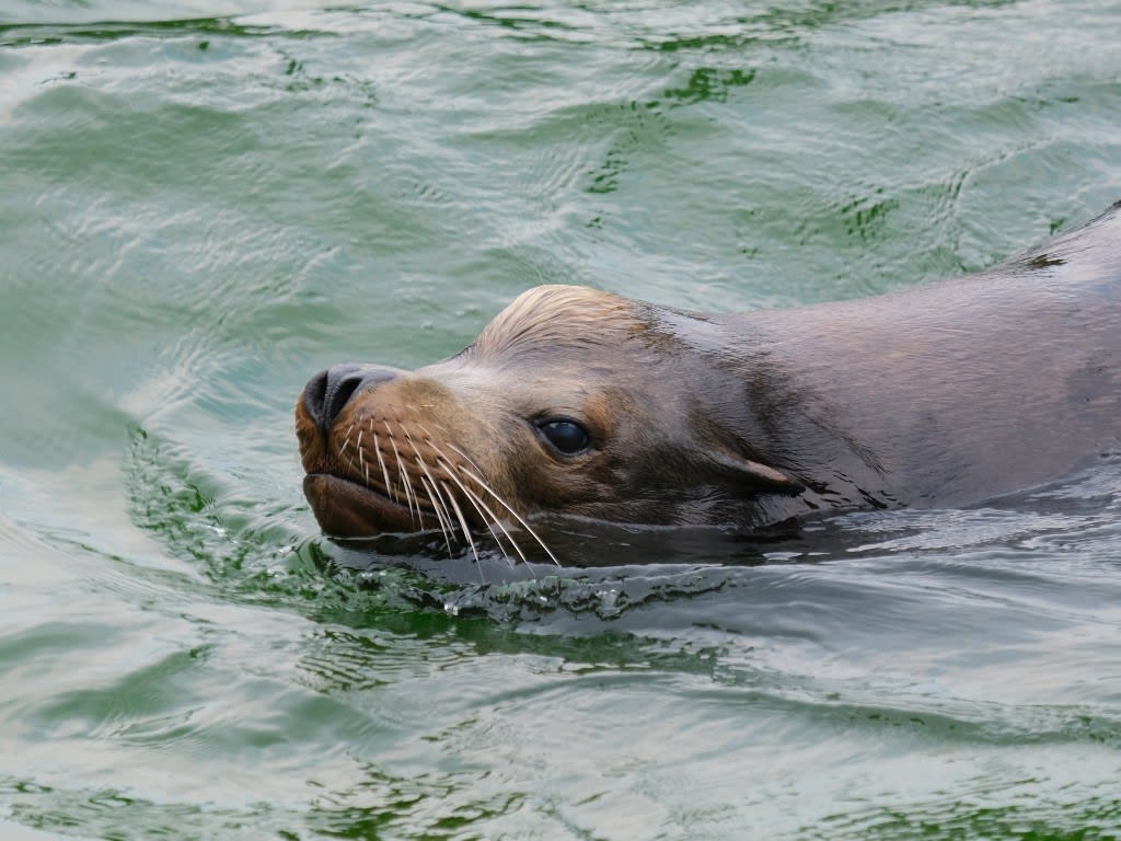 水族館系 のブログ記事一覧 5ページ目 なおさんブログ 水族館系 のブログ記事一覧 5ページ目 なおさんブログ