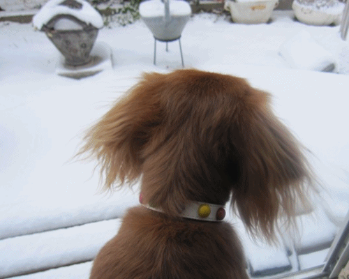 初七日は雪景色 こころの染織 初七日は雪景色 こころの染織