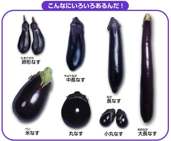 ナスかナスビか ナスビは方言なのか について考える 団塊オヤジの短編小説goo