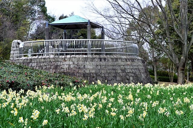 ２月の花と景色 のブログ記事一覧 Hiroの写真館