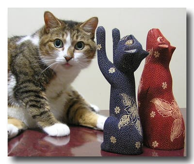 かわいぃ猫グッズ 猫のののちゃんち かわいぃ猫グッズ 猫のののちゃんち