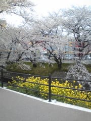 花の街 授業者日記