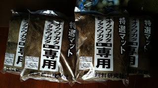 川口商店さんマット入手 くわがたの里 川口商店さんマット入手 くわがたの里