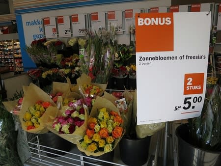 オランダのスーパー 花のある生活