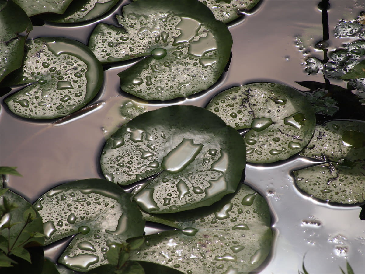 雨のち晴れの画像