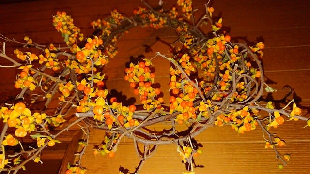 秘密の場所のツルウメモドキ チッチの里親