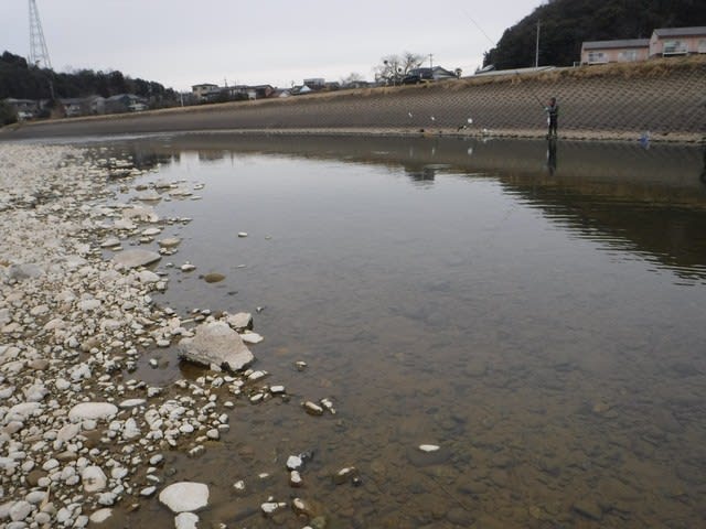 ２月１日長良川中央地区解禁 しげじいの迷釣り師 フライと鮎友釣 小物釣りも 楽天ブログ