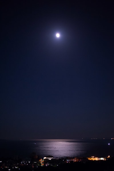 月が綺麗な夜でした 海を眺めて暮らすwithワン