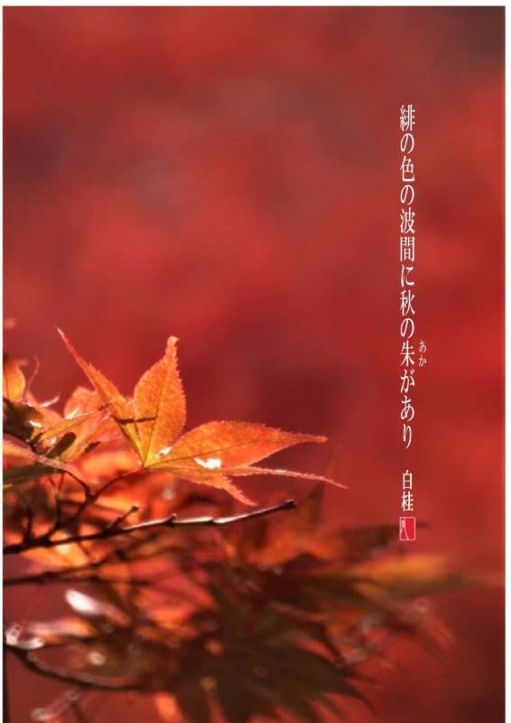 緋の海に／紅葉 - 詩と短歌集／photo poem 雪割一華（ゆきわりいちげ）