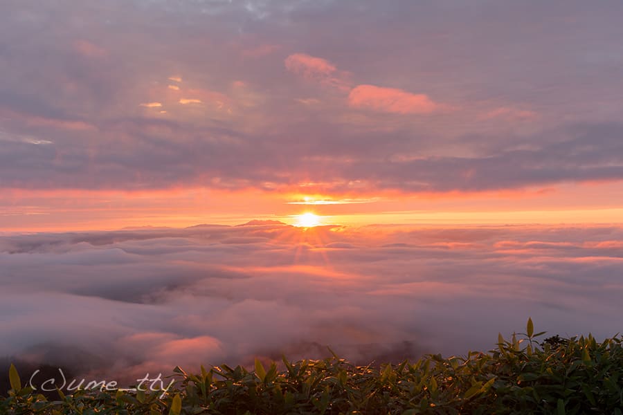 津別峠の雲海と朝日の光景 Photodiary 北海道の風景写真ブログ