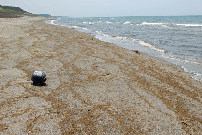 花浄土鹿児島