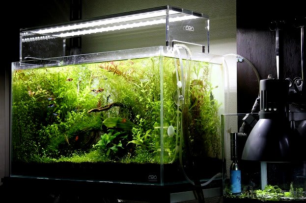 Ada アクアスカイ602 Nature Aquarium Fan