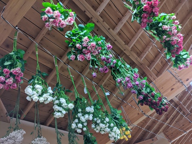 お知らせ 花屋やります きぼう工房スタッフブログ リスの食卓 お知らせ 花屋やります きぼう工房スタッフブログ リスの食卓