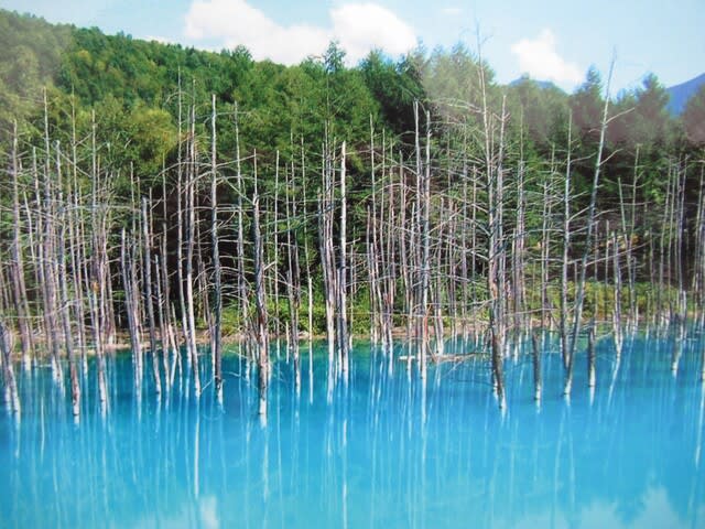 青い池・吹上温泉・藻岩山夜景【ときたま日記】