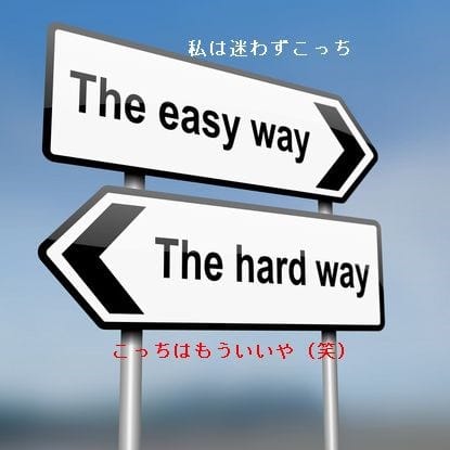 人生に岐路はいくつある いのちゃんの 人生に岐路はいくつある いのちゃんの