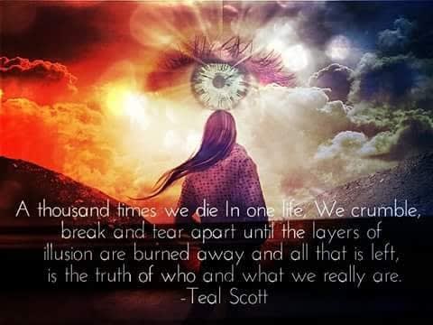 Curawaka He Yama Yo Half Only åã®ã¿ã¡ããã¹ æã ããç¾å® goo ãã­ã°