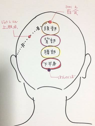 頭のツボ押し効果 後頭部から全身へつながる仕組み ヘッドスパ 頭皮ケア 東京 渋谷 新宿 Ritt S リッツ ブログ 頭のツボ押し効果 後頭部から全身へつながる仕組み ヘッドスパ 頭皮ケア 東京 渋谷 新宿 Ritt S リッツ ブログ