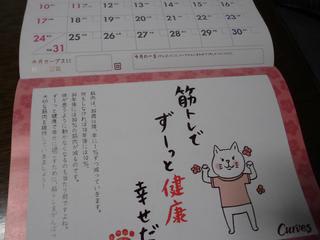 筋肉を鍛えよう アリときりぎりすと猫一匹 筋肉を鍛えよう アリときりぎりすと猫一匹