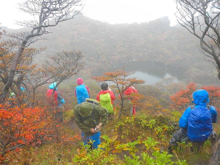 くじゅう 大船山 17年10月日 紅葉状況 速報 雨中の幻想的な紅葉風景でした 延岡の山歩人ｋ