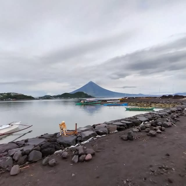 レガスピへの道　（でも時々、菊川）～Road to the Legazpi City Albay!～