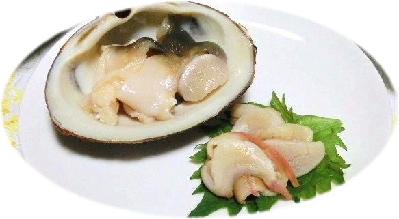 16年2月のブログ記事一覧 チックの道草 きのこ 16年2月のブログ記事一覧 チックの道草 きのこ