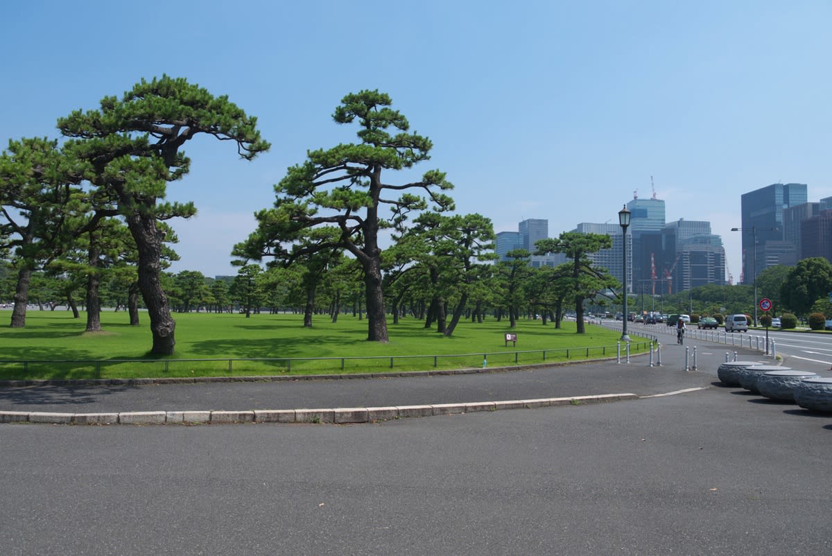 夏日の皇居前広場 桜田門脇を通り抜けて 二重橋へ 緑には 東京しかない
