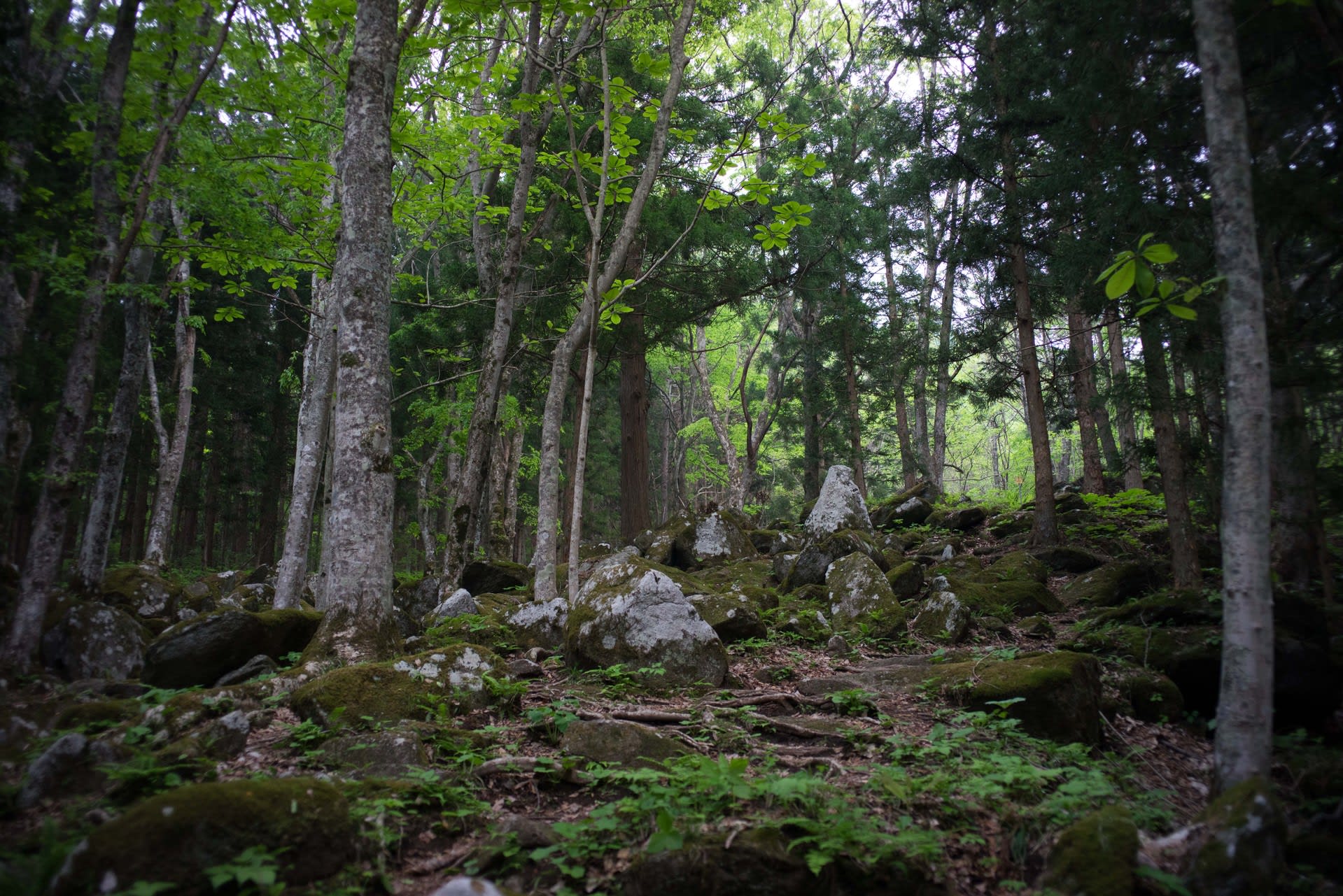 岩手県遠野市 五百羅漢 風景写真 Sony r かず某日記 Photo Photo Photo 岩手県遠野市 五百羅漢 風景写真 Sony r かず某日記 Photo Photo Photo