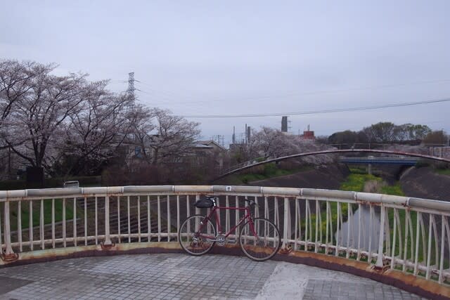 多摩川　パスハンター　サイクリング