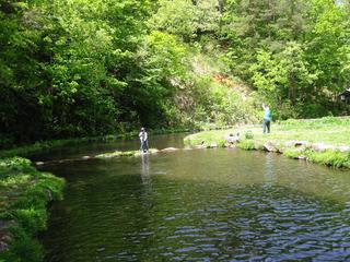 ニジマスのお刺身 絶品 癒しの世界へ ニジマスのお刺身 絶品 癒しの世界へ