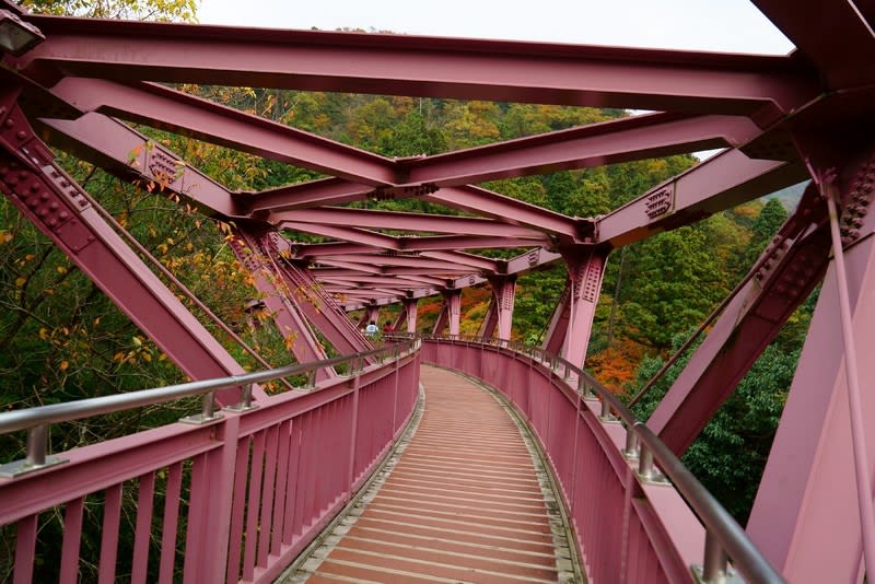 鶴仙渓（山中温泉）あやとり橋 さくら公園 紅葉とモミジの落ち葉など ・金沢から発信のブログ 風景と花と鳥など