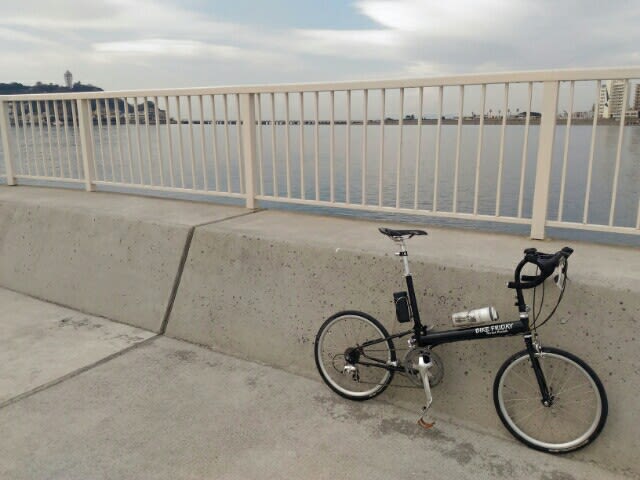ポケロケ 自転車
