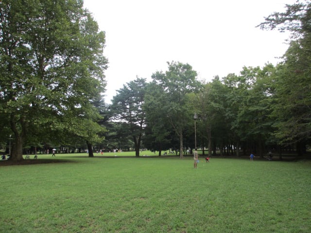 3img_3711 3img_3711