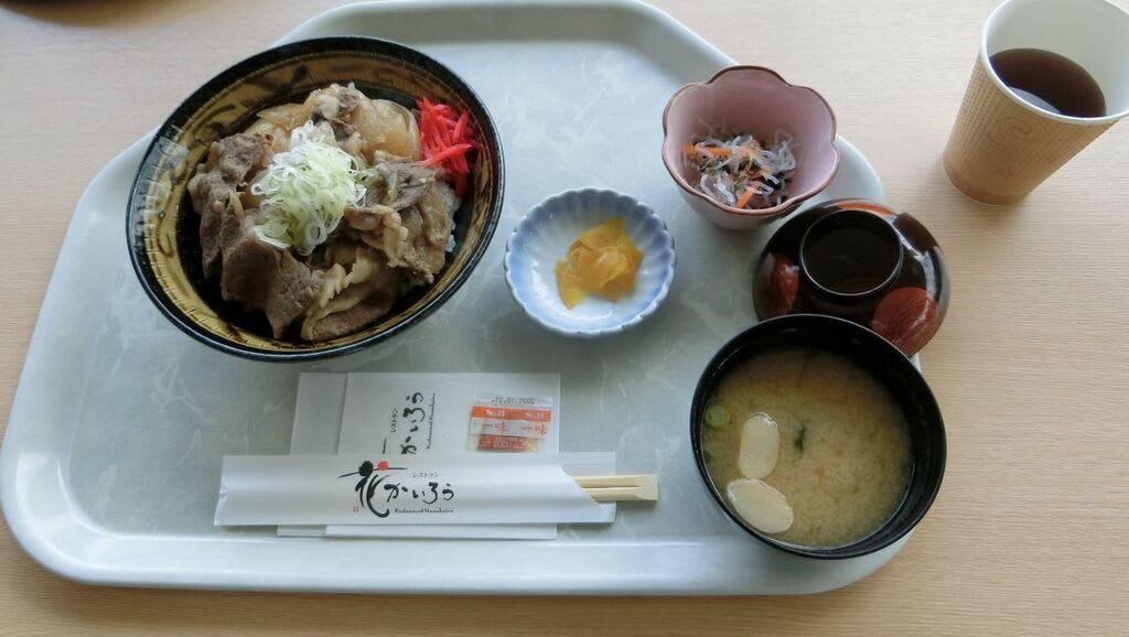 とっとり花回廊 レストラン花回廊でランチ フラワードーム 勇優ba Baのお出かけ日記