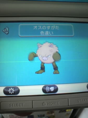 いろちがい オコリザル やま うみ いろちがい オコリザル やま うみ