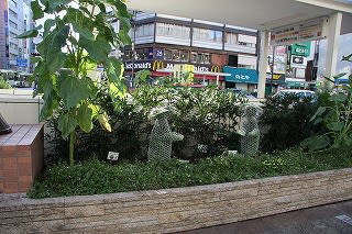 12年8月のブログ記事一覧 トピアリー ブログ