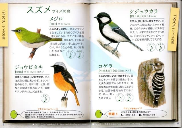 大きさでわかる おさんぽ鳥図鑑 わんちゃんの独り言