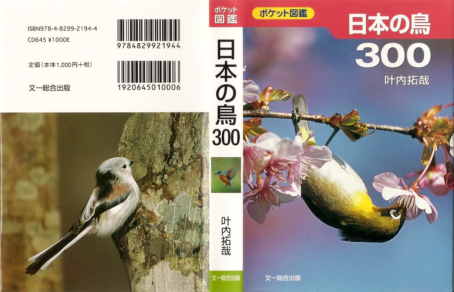 日本の鳥３００ 散歩路の鳥たち