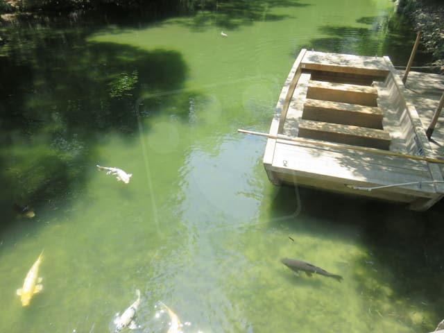 栗林公園