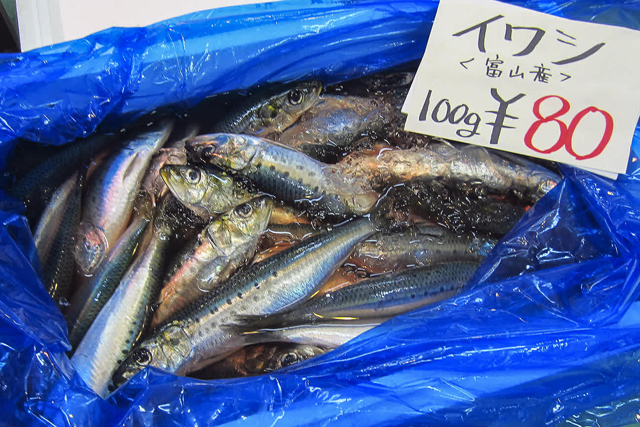 新鮮イワシの刺身 丁寧な仕事で香住鶴 炎のクリエイター日記