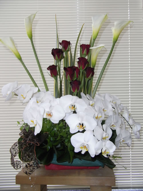 ススキノに祝い花を咲かせました ちっちゃなお花屋さんの業務日誌
