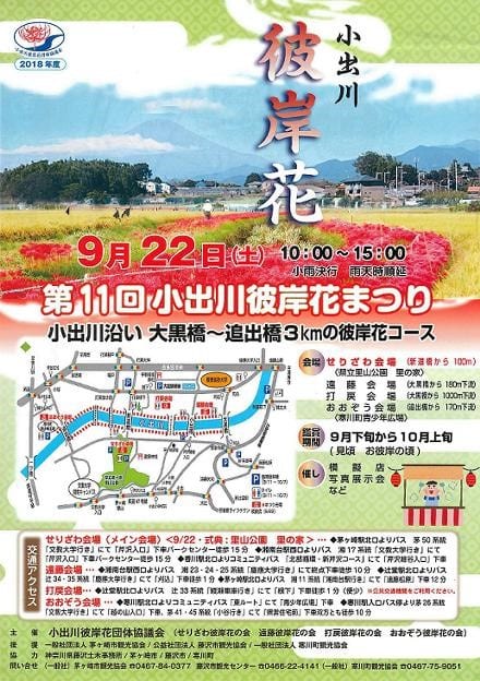 第１１回 小出川彼岸花まつり のご案内 寒川町商工会 公式ブログ