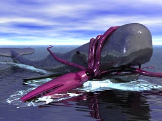 ダイオウイカとマッコウクジラのバトル 海人の深深たる海底に向いてー深海の不思議ー