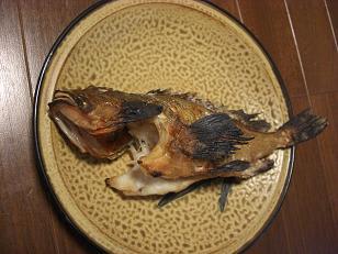 ガシラ塩焼き オカズ釣師の戯言