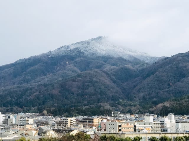 比叡山に雪 朝顔