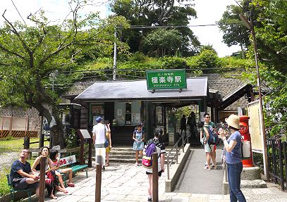 鎌倉から江の島へ 教室 自然いろいろブログ 鎌倉から江の島へ 教室 自然いろいろブログ