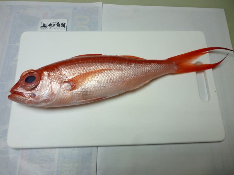 食べたかった魚 棚取り迷人の釣行記