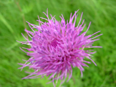 Dscf6269